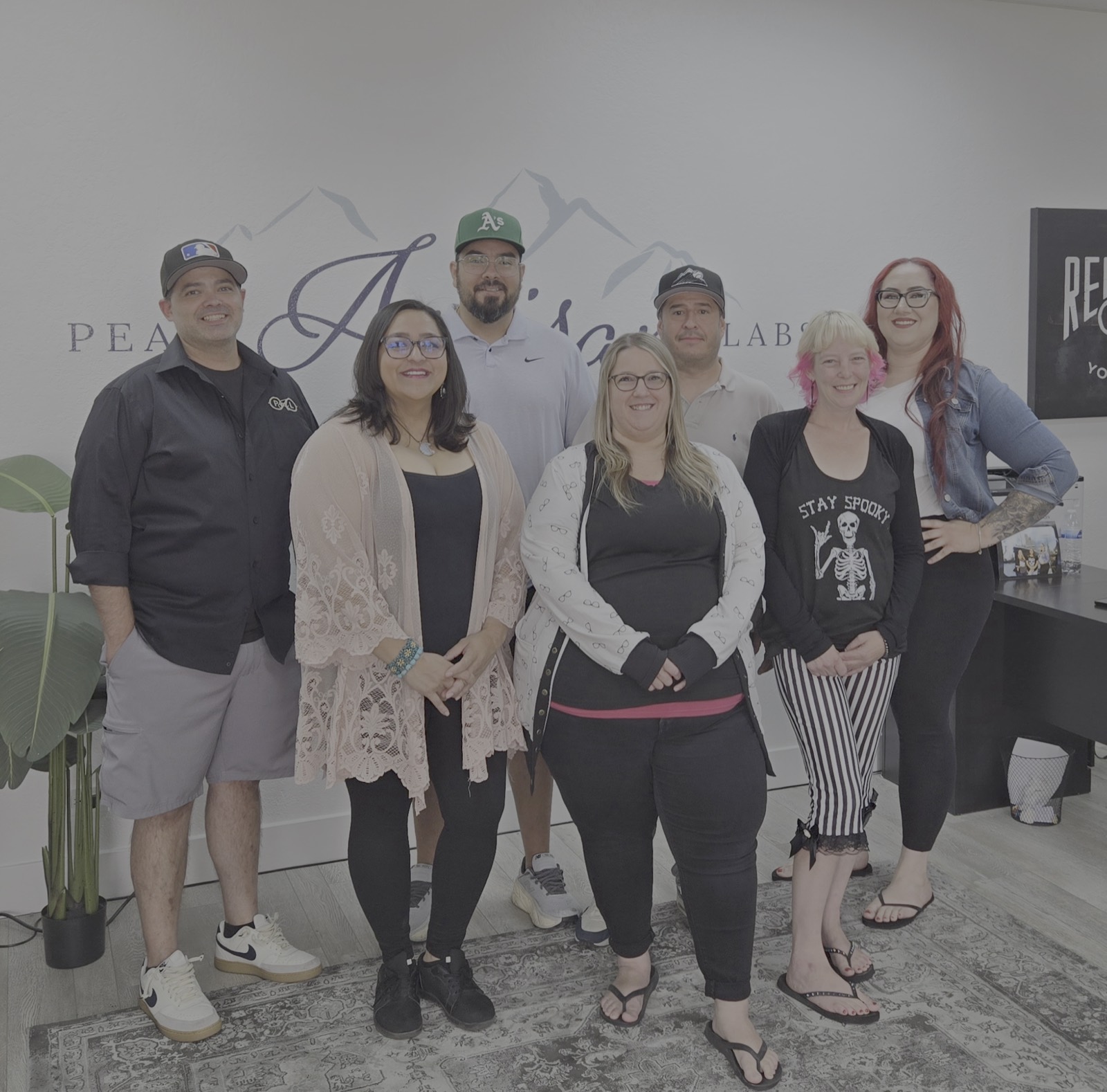 Peak Artisan Labs team